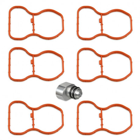 Kit suppression clapets admission BMW N57 N57S E90 E91 E92 E93 F07 F10 F11