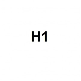 H1